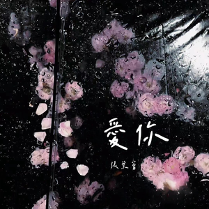 男人鸡鸡插入女人逼逼的视频
