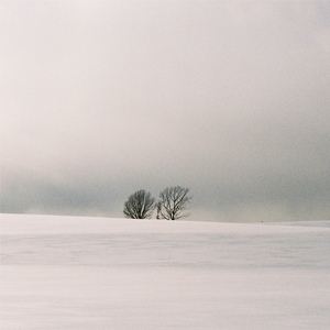 男人鸡鸡插入女人逼逼的视频
