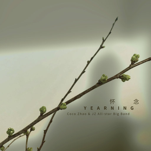 男人鸡鸡插入女人逼逼的视频
